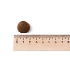 Best Breeder Grain Free Large Breed Turkey, Sweet Potato & Cranberry