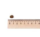 Best Breeder Grain Free Small Breed Salmon with Trout, Sweet Potato & Asparagus