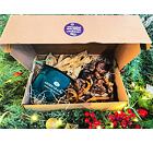 Vánoční balíček - sušené dobroty