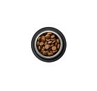 Best Breeder Adult Large Breed Chicken & Rice