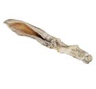 Králičí uši s chlupy