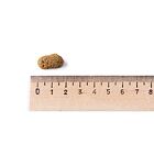 Belcando Adult Iberico & Rice