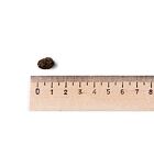 Belcando Finest GF Lamb