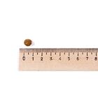 Best Breeder Puppy Chicken & Rice