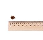 Leonardo Adult GF Poultry