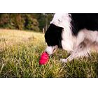 Kong pasta ve spreji - cheddar sýr - 226g