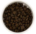 Best Breeder DELUXE Dog Scottish Salmon Light Adult