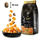 Leonardo Fresh Salmon