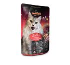 Leonardo Kapsička - Telecí se zeleninou