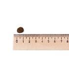 Best Breeder Adult Cat Salmon