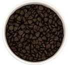 Best Breeder DELUXE Dog Scottish Salmon Puppy