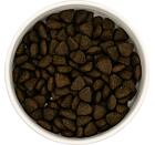 Best Breeder DELUXE Dog Scottish Salmon Senior