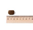 Belcando Adult Power