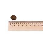 Best Breeder Grain Free Senior Trout with Salmon, Sweet Potato & Asparagus