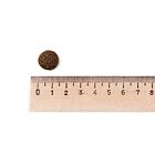 Best Breeder Grain Free Tuna with Salmon, Sweet Potato and Broccoli