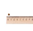 Leonardo KITTEN GRANULA-START