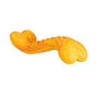 Antibakteriální dentální kost s vůní grilovaného kuřete