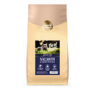 Best Breeder Adult Cat Salmon