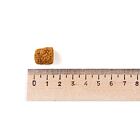 Best Breeder Adult Chicken & Rice