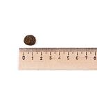 Best Breeder Grain Free Haddock with Sweet Potato & Parsley