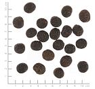 Wolfsblut VetLine Joint Care