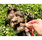 Výcvikové pamlsky pro psy Arden