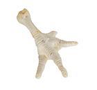 Kuřecí pařáty bílé