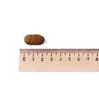 Belcando Adult GF Beef (poškozený obal) EXPIRACE 30.4.2027