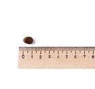 Best Breeder Grain Free Puppy Chicken with Sweet Potato, Carrots & Peas