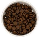 Best Breeder DELUXE Dog English Country Duck Adult