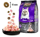 Leonardo Senior rich in Chicken