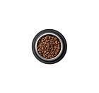 Best Breeder Grain Free Adult Cat Freshly Prepared Turkey