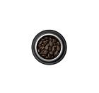 Best Breeder Large Breed Puppy Salmon & Potato